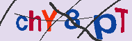 キャプチャ(CAPTCHA)認証コード
