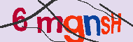 キャプチャ(CAPTCHA)認証コード
