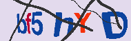 キャプチャ(CAPTCHA)認証コード